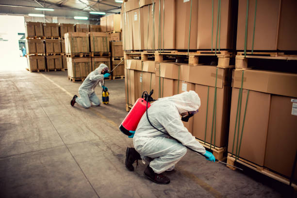 Best Residential Pest Control  in Lincolndale, NY