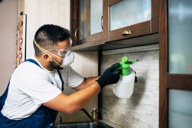 Best Emergency Pest Control  in Lincolndale, NY