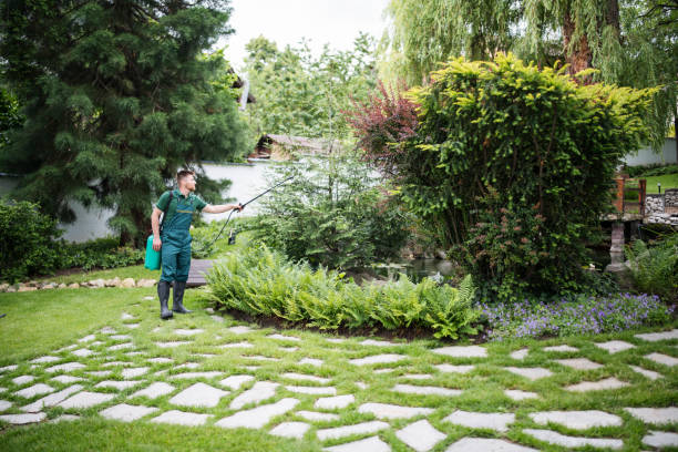 Best Pest Removal Services  in Lincolndale, NY