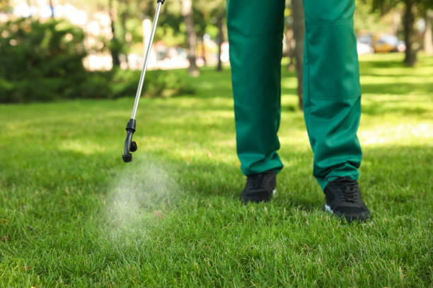 Best Wasp Removal Services  in Lincolndale, NY