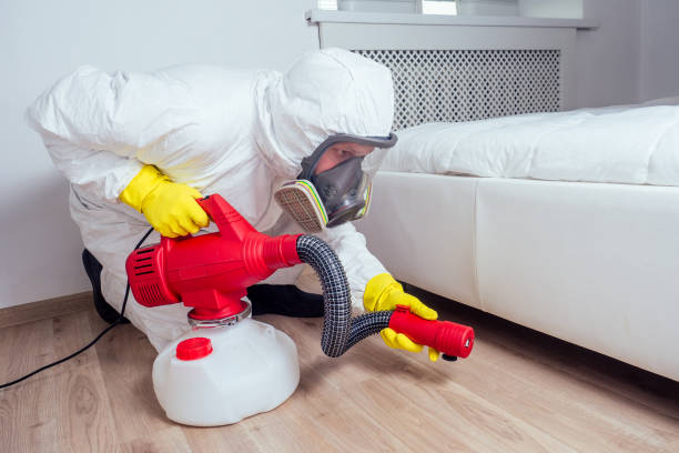 Best Bed Bug Extermination  in Lincolndale, NY