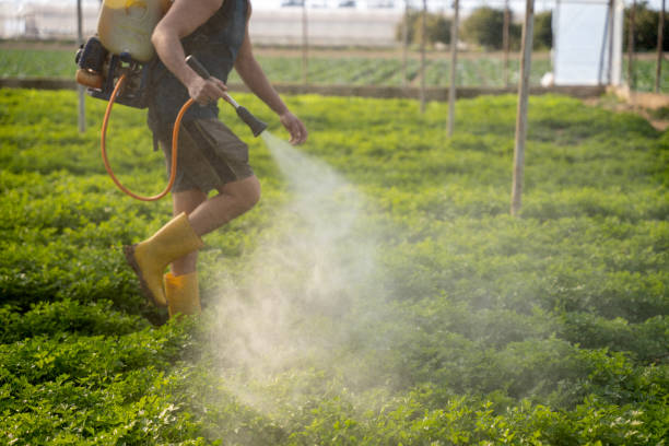 Pest Prevention Services in Lincolndale, NY