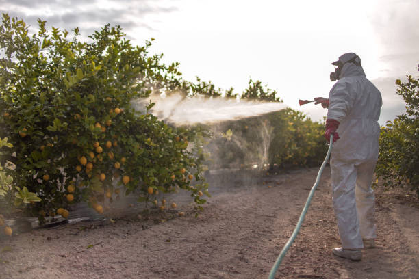 Best Mosquito Control Services  in Lincolndale, NY
