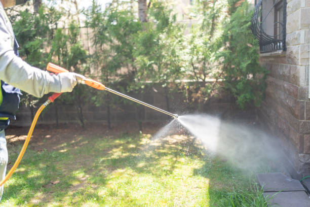 Best Termite Control Services  in Lincolndale, NY