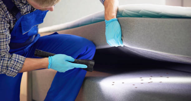 Best Flea Control Services  in Lincolndale, NY
