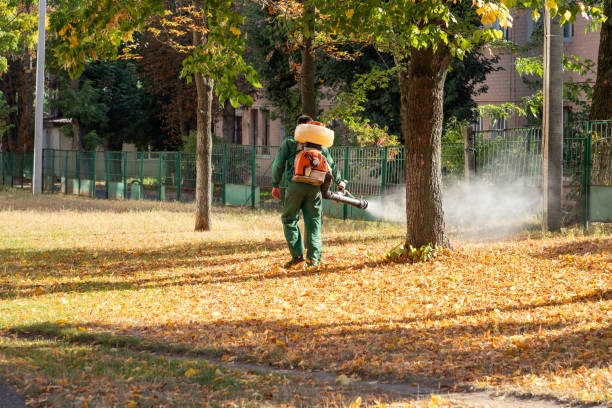 Best Mosquito Control Services  in Lincolndale, NY