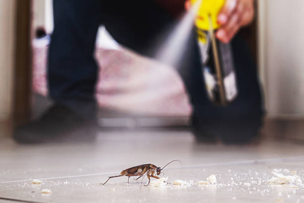 Best Pest Control for Businesses  in Lincolndale, NY