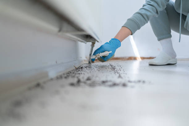 Best Pest Prevention Services  in Lincolndale, NY